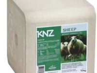 knz sheep